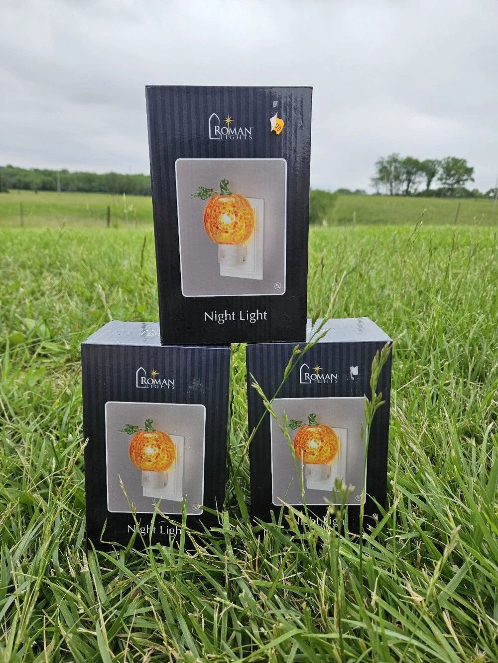 3 NEW Roman Lights Pumpkin Night Lights Fall Halloween Thanksgiving Decor...